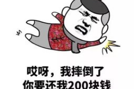 湖州湖州专业催债公司，专业催收